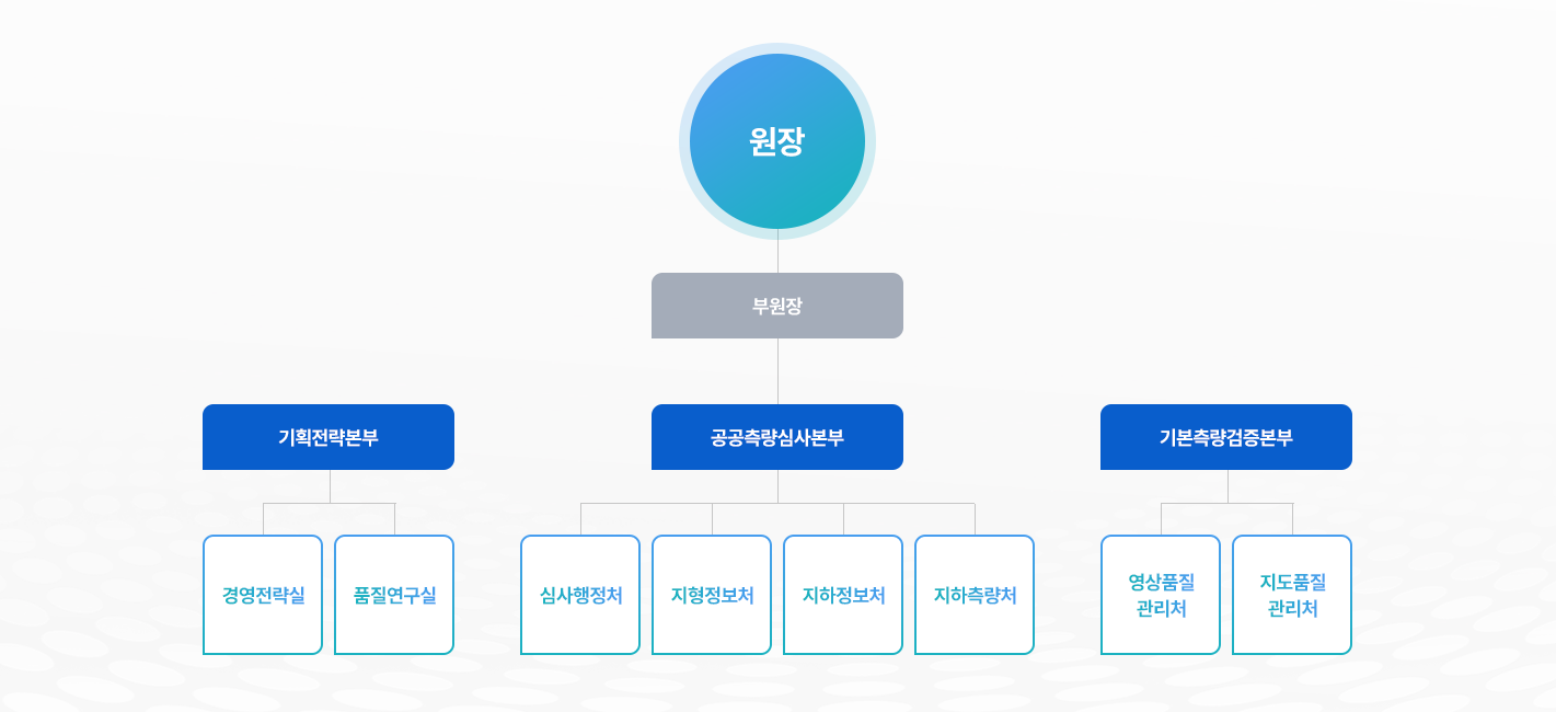 조직도